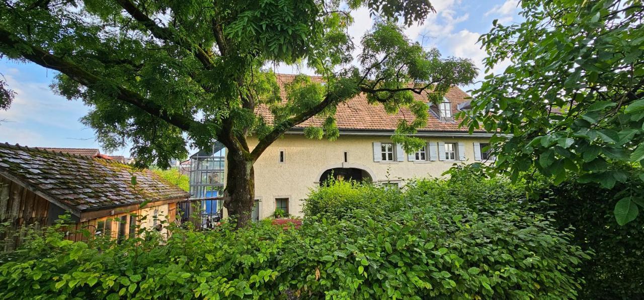 Blue Wall Bnb Gebenstorf Esterno foto